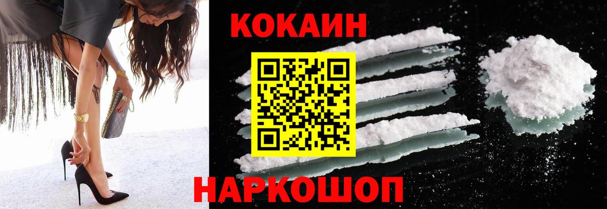 Меф Кузнецк