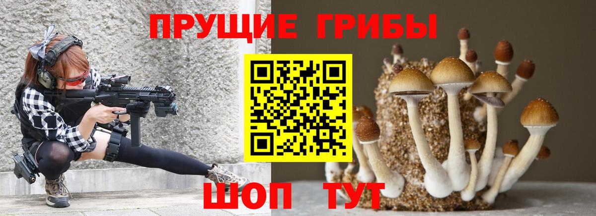 Псилоцибиновые грибы Magic Shrooms Кузнецк