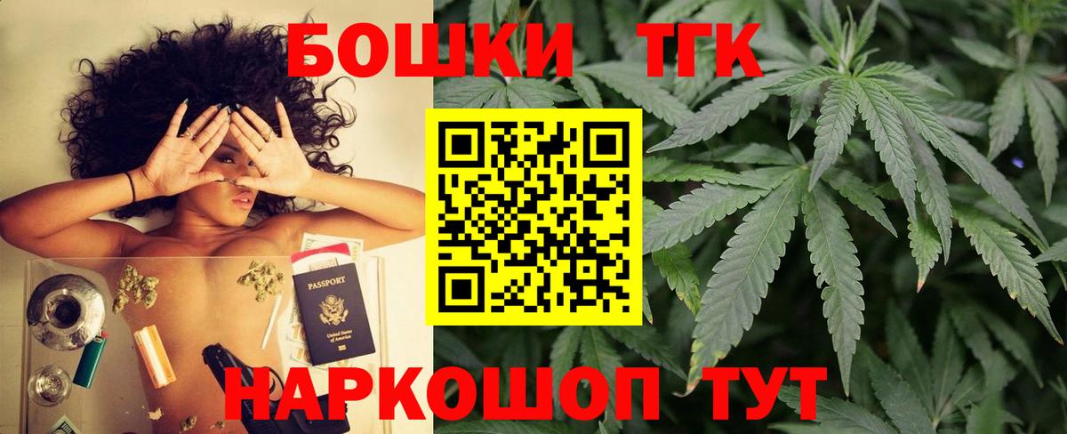 Каннабис сатива Кузнецк